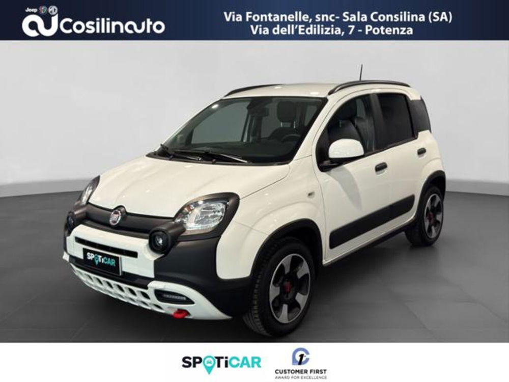 Fiat Panda Cross usata a Salerno