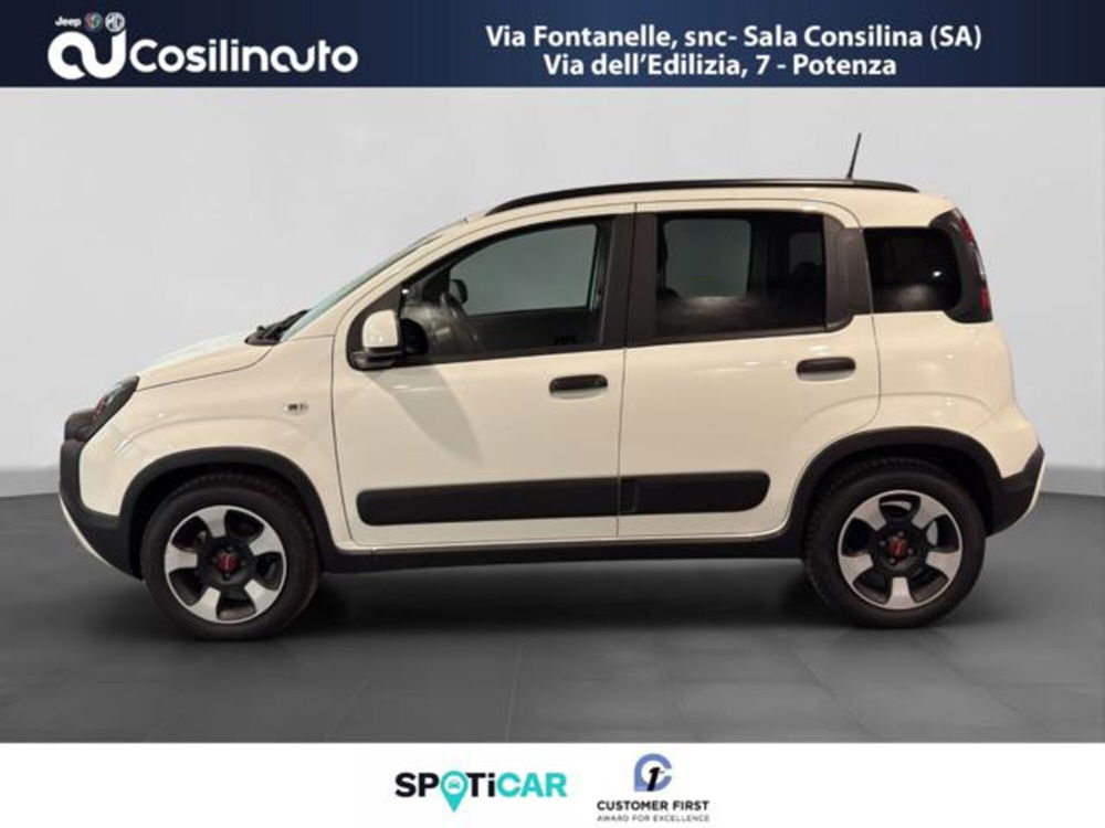 Fiat Panda Cross usata a Salerno (2)