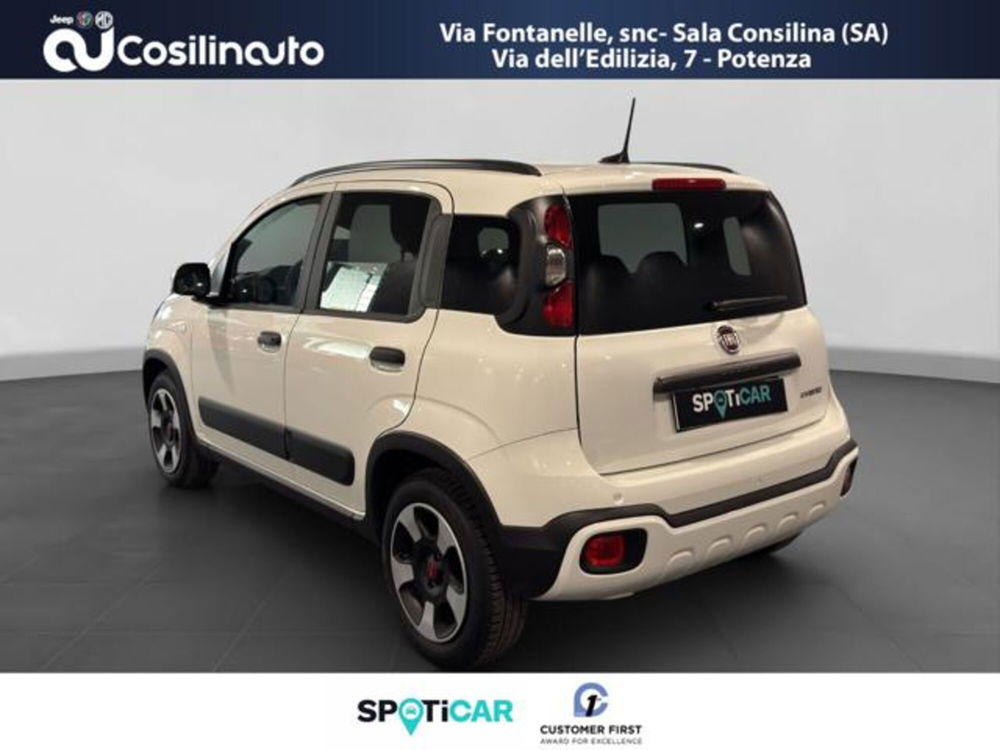 Fiat Panda Cross usata a Salerno (3)