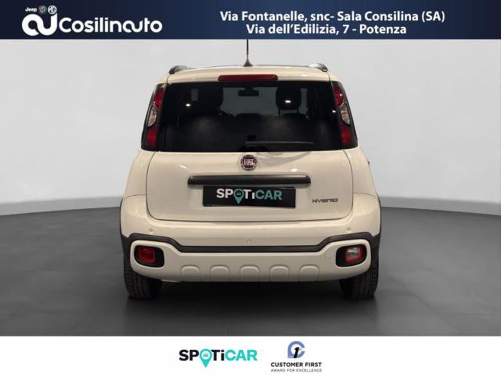 Fiat Panda Cross usata a Salerno (4)