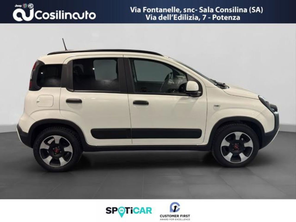 Fiat Panda Cross usata a Salerno (6)