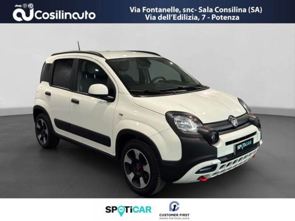 Fiat Panda Cross usata a Salerno (7)