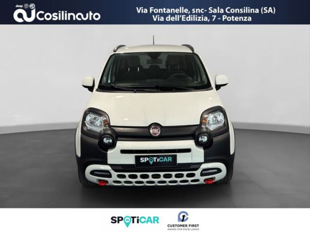 Fiat Panda Cross usata a Salerno (8)