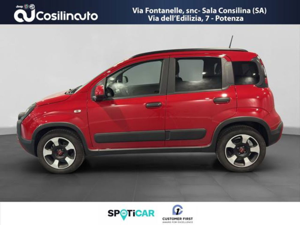 Fiat Panda Cross usata a Salerno (2)