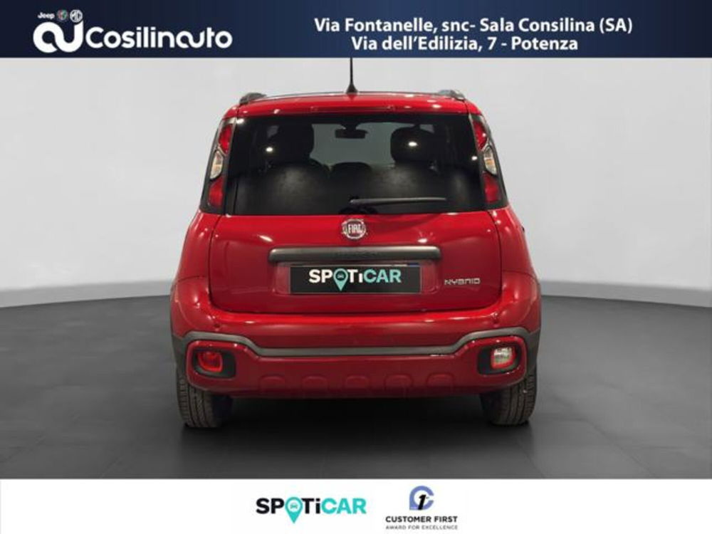 Fiat Panda Cross usata a Salerno (4)