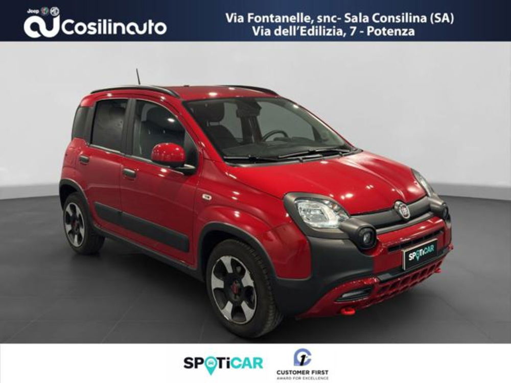 Fiat Panda Cross usata a Salerno (7)