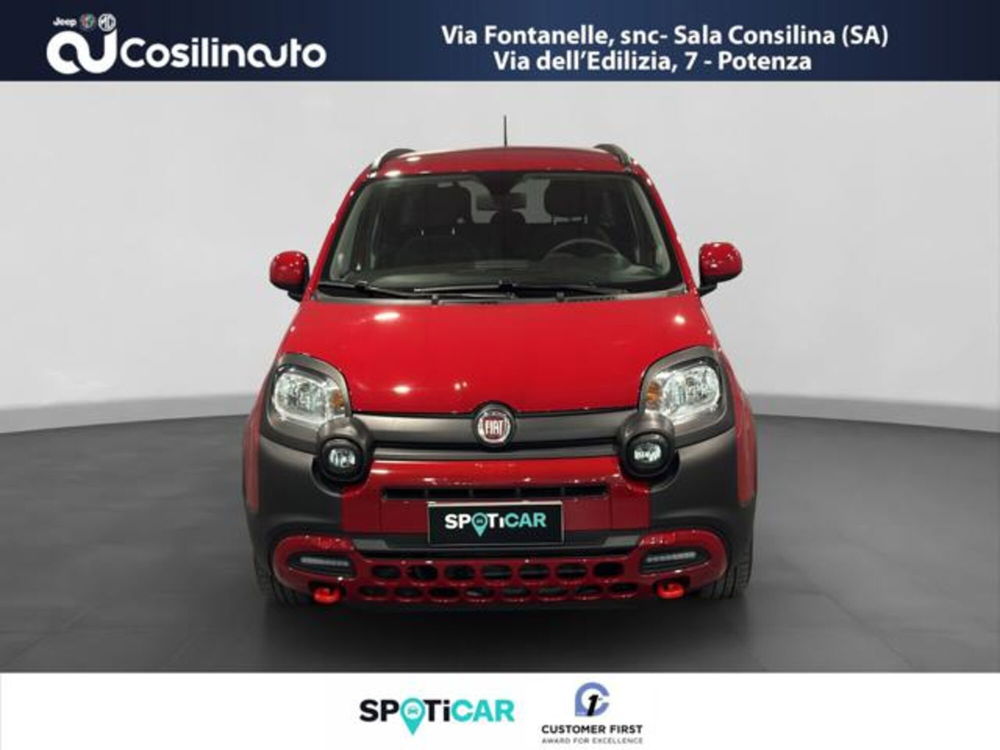 Fiat Panda Cross usata a Salerno (8)