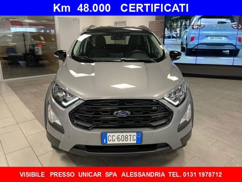 Ford EcoSport usata a Cuneo (2)