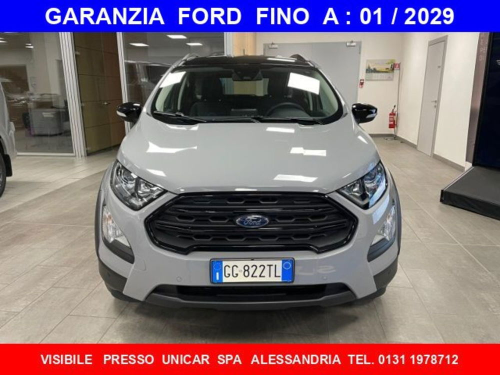 Ford EcoSport usata a Cuneo (2)