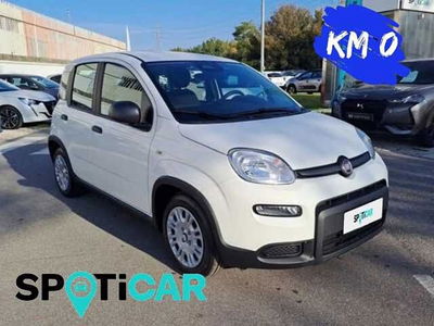 Fiat Panda 1.0 firefly hybrid s&amp;s 70cv 5p.ti nuova a Bracciano