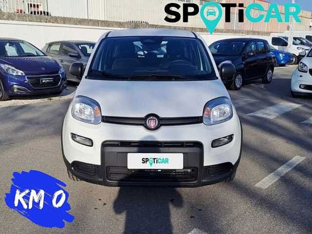 Fiat Panda nuova a Roma (2)