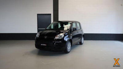 Fiat Panda 1.0 firefly hybrid s&amp;s 70cv 5p.ti nuova a Olgiate Olona