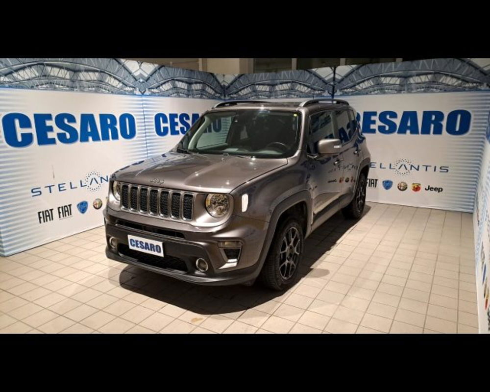 Jeep Renegade usata a Aosta (2)