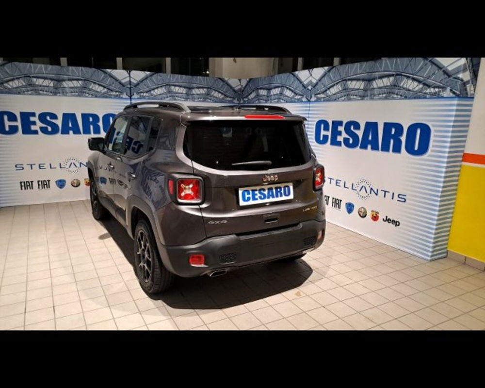 Jeep Renegade usata a Aosta (3)