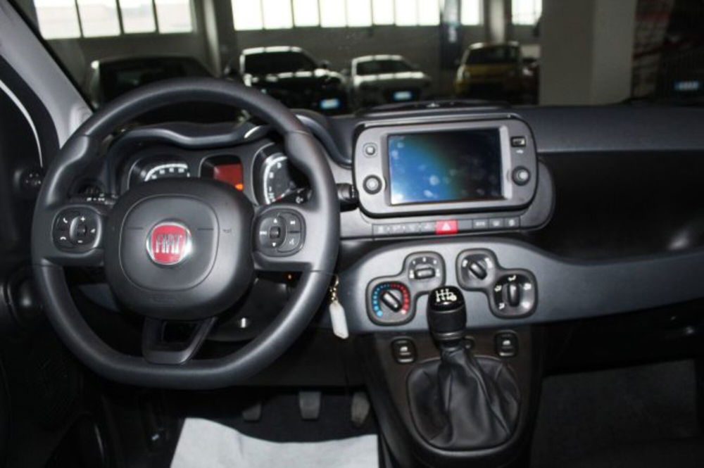 Fiat Panda Cross usata a Terni (11)