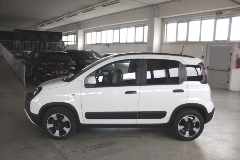 Fiat Panda Cross usata a Terni (3)