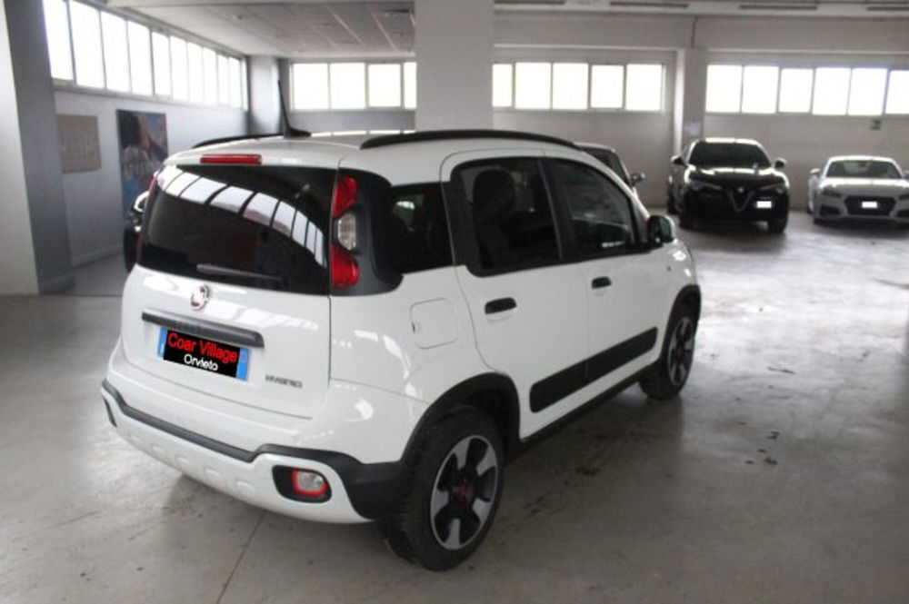 Fiat Panda Cross usata a Terni (4)