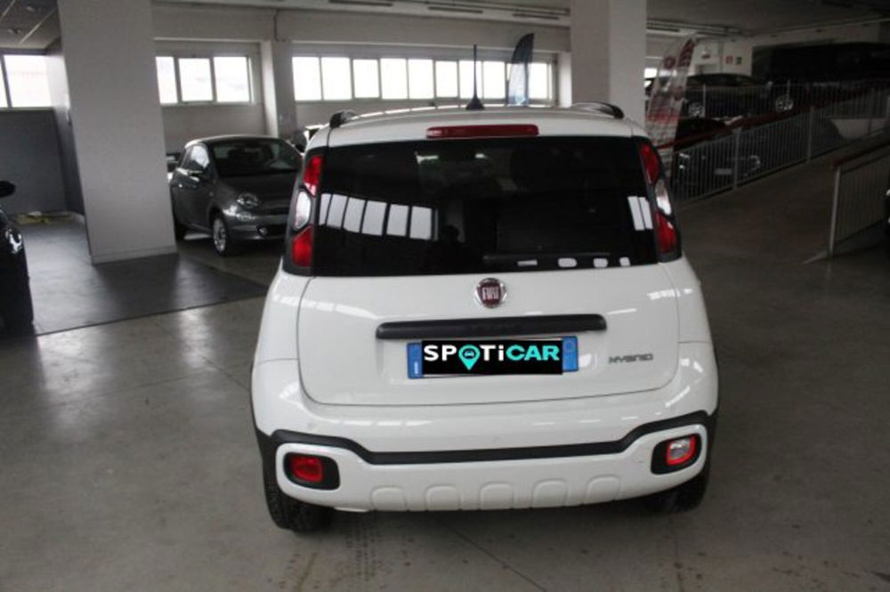 Fiat Panda Cross usata a Terni (5)