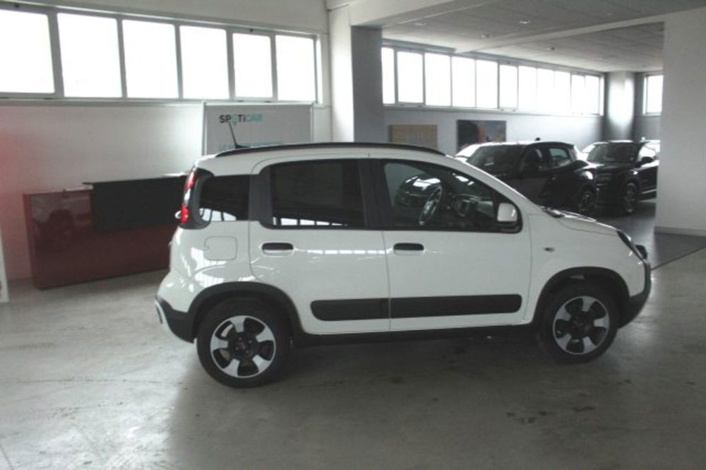 Fiat Panda Cross usata a Terni (6)