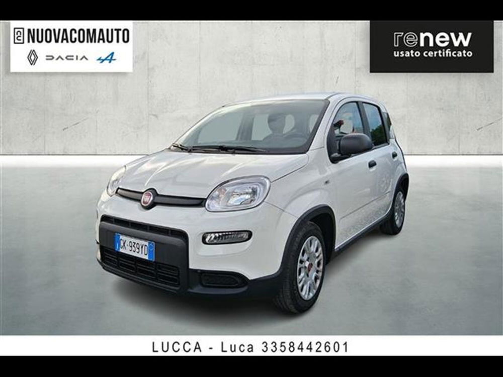 Fiat Panda usata a Firenze