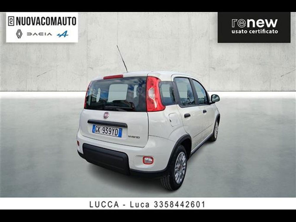 Fiat Panda usata a Firenze (3)