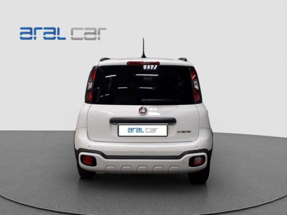 Fiat Panda Cross usata a Torino (5)