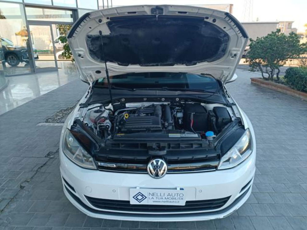 Volkswagen Golf Variant usata a Pisa (12)