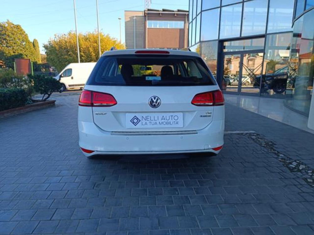 Volkswagen Golf Variant usata a Pisa (6)