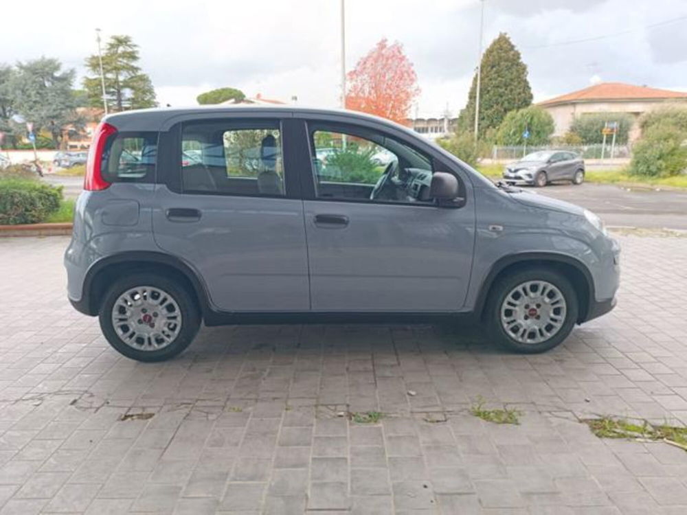 Fiat Panda usata a Pisa (17)