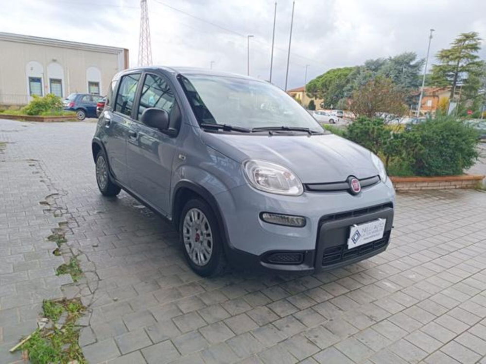 Fiat Panda usata a Pisa (19)