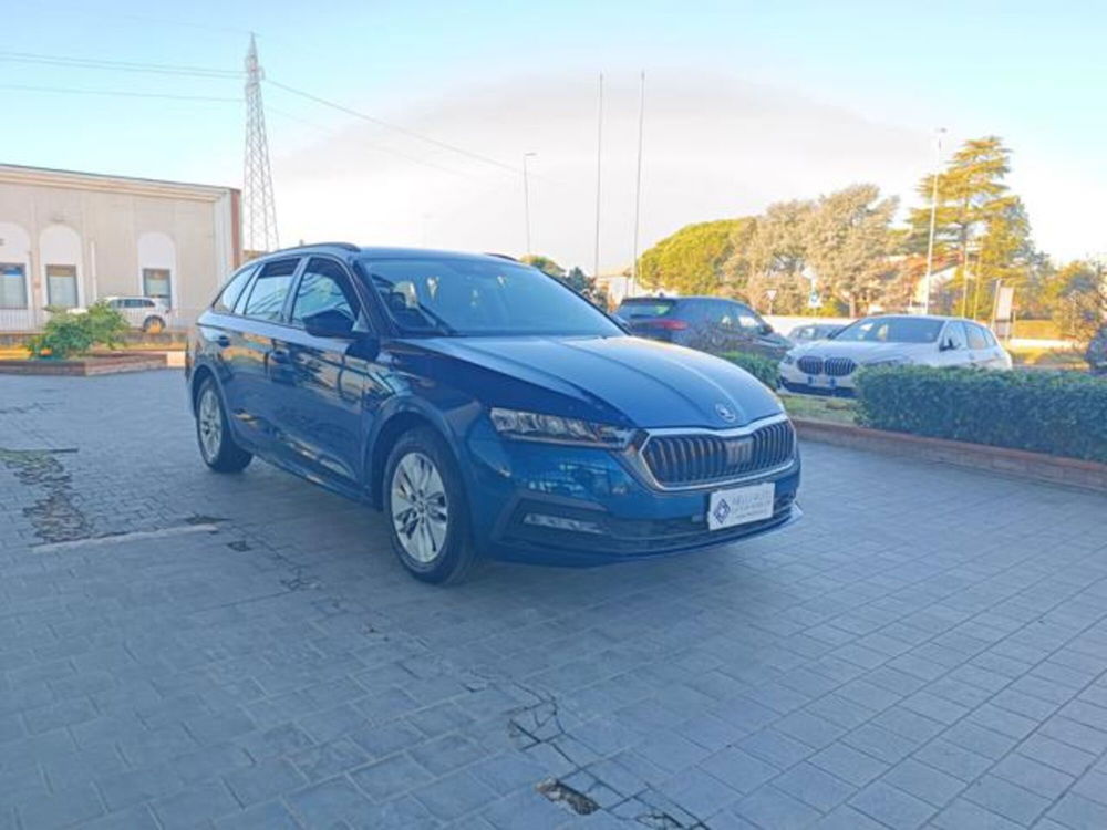 Skoda Octavia Station Wagon usata a Pisa (2)