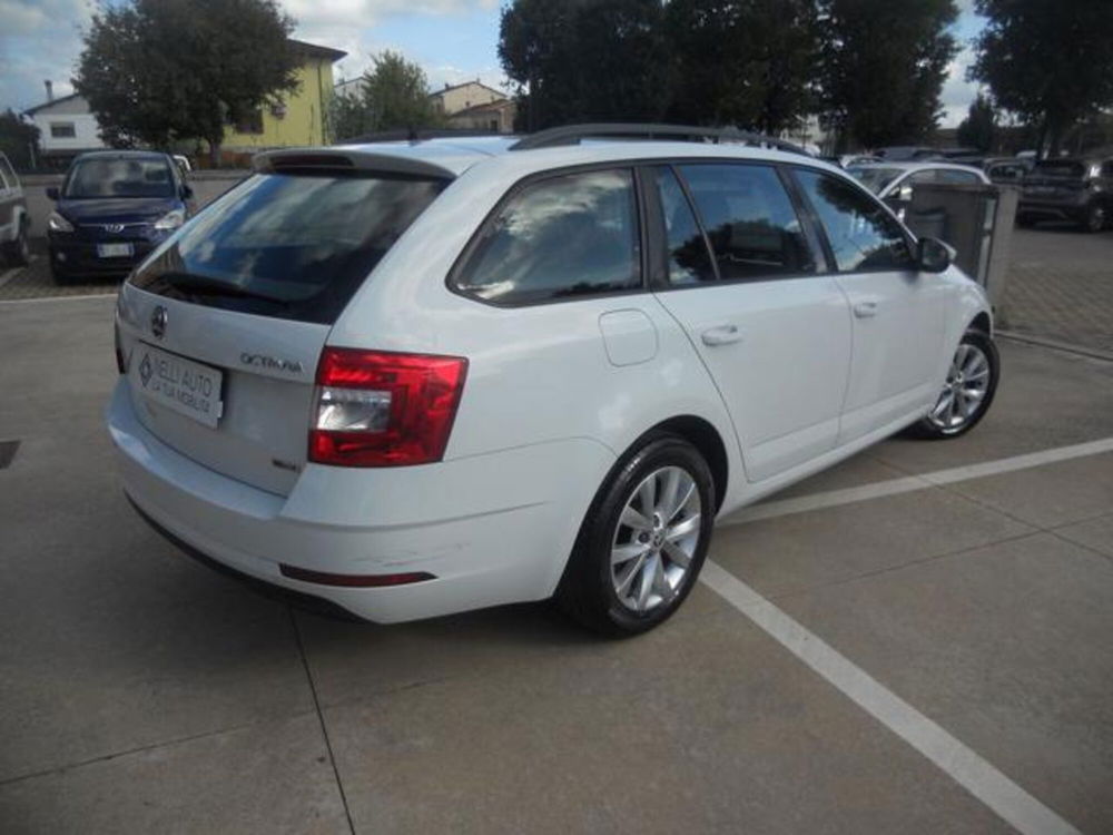 Skoda Octavia Station Wagon usata a Pisa (15)