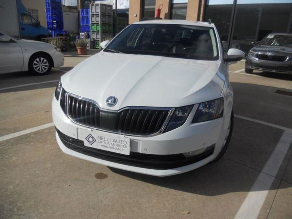 Skoda Octavia Station Wagon usata a Pisa (2)