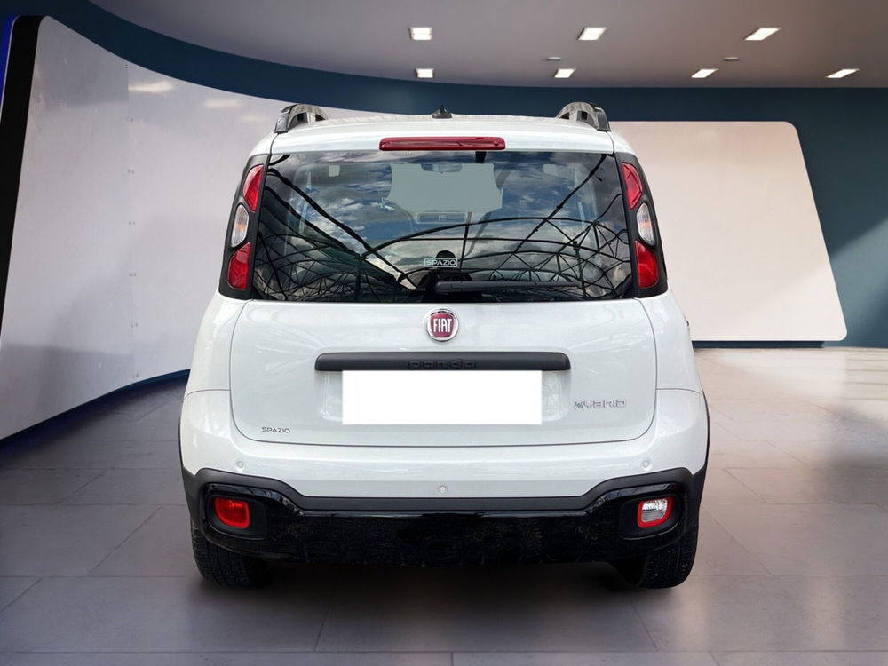 Fiat Panda usata a Torino (6)