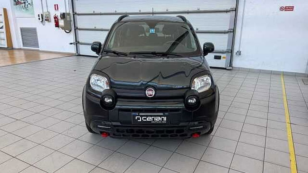 Fiat Panda Cross usata a Milano (9)