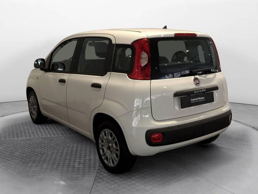 Fiat Panda usata a Torino (2)