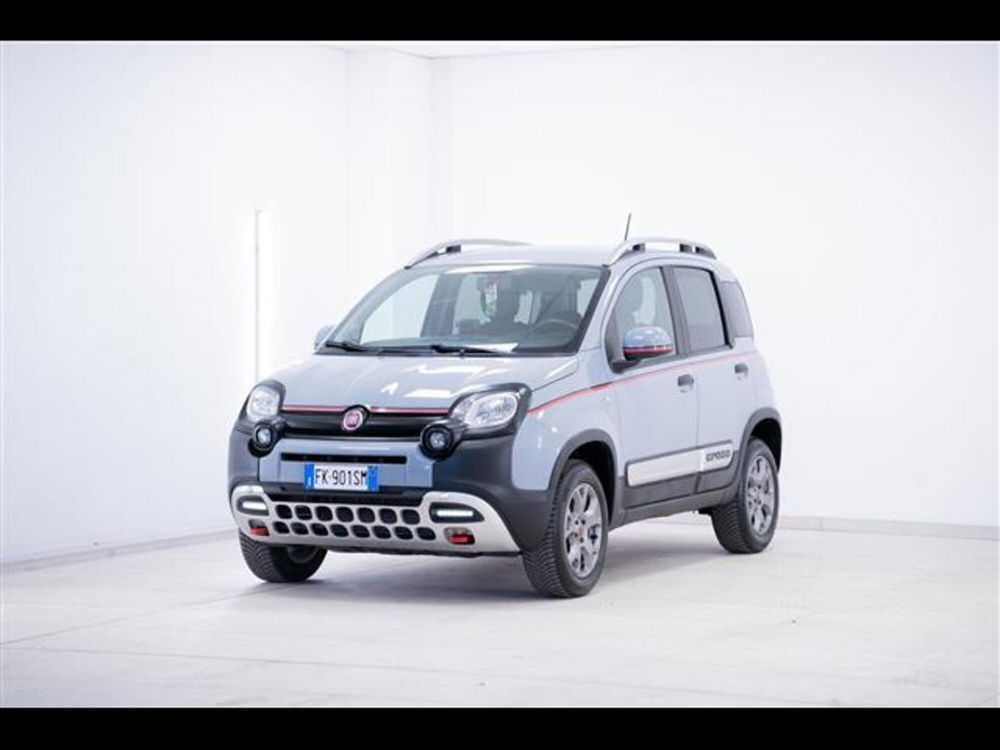 Fiat Panda Cross usata a Torino