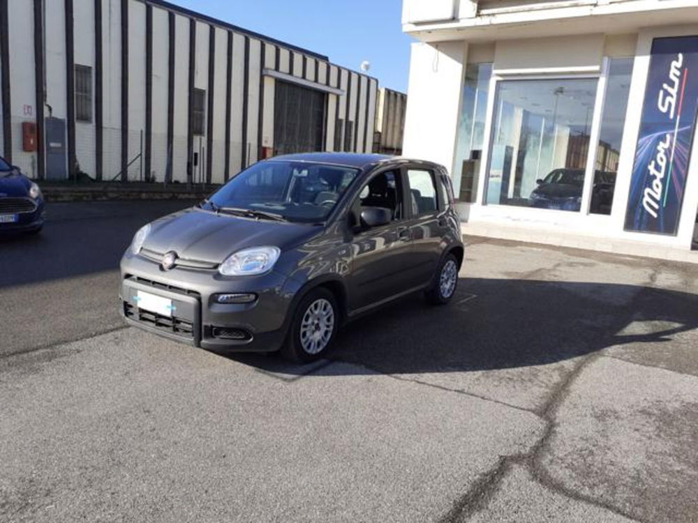 Fiat Panda usata a Firenze