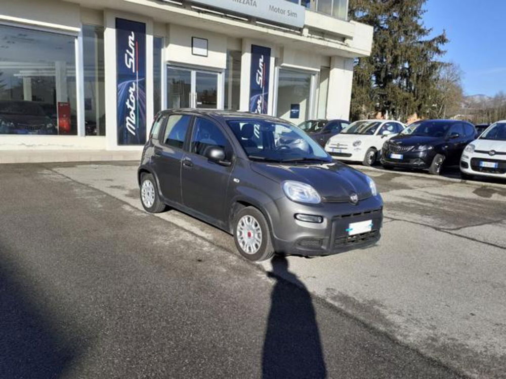 Fiat Panda usata a Firenze (3)