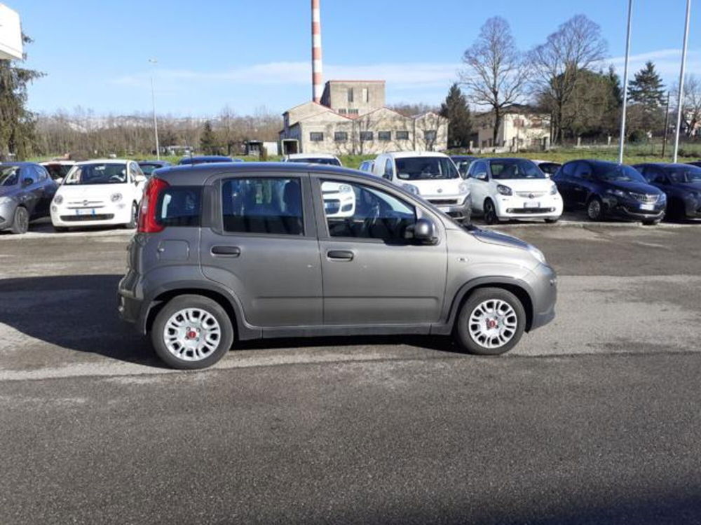 Fiat Panda usata a Firenze (4)