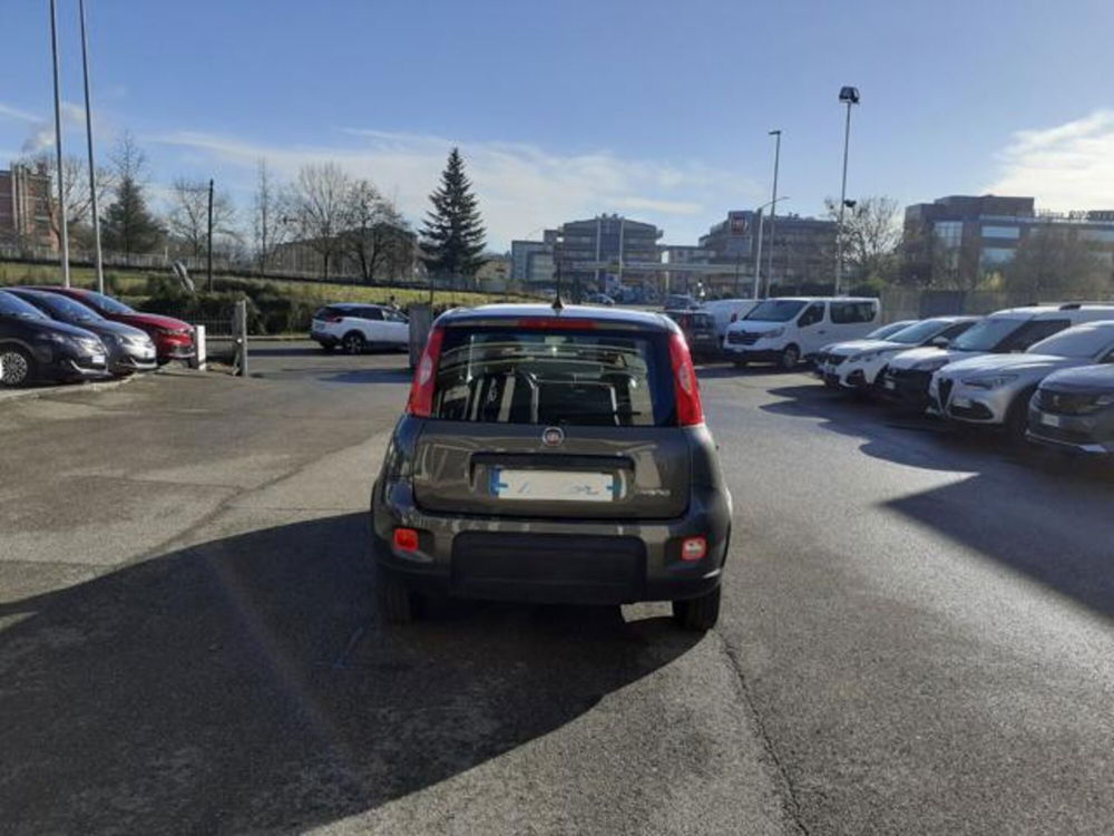 Fiat Panda usata a Firenze (5)