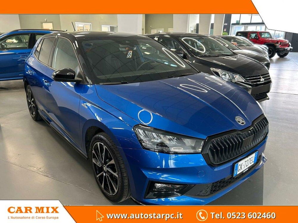 Skoda Fabia usata a Piacenza (2)