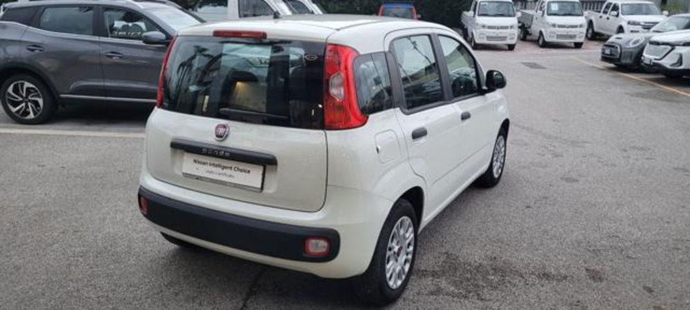 Fiat Panda usata a Napoli (3)