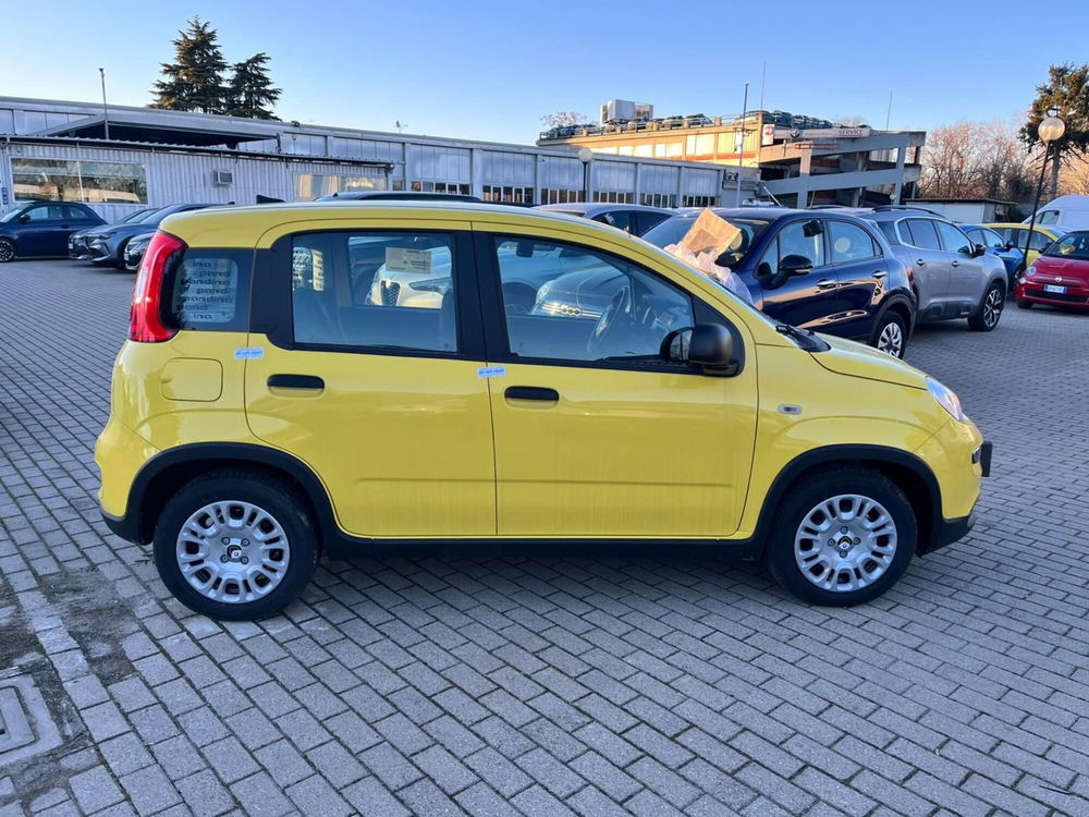 Fiat Panda Cross nuova a Milano (5)