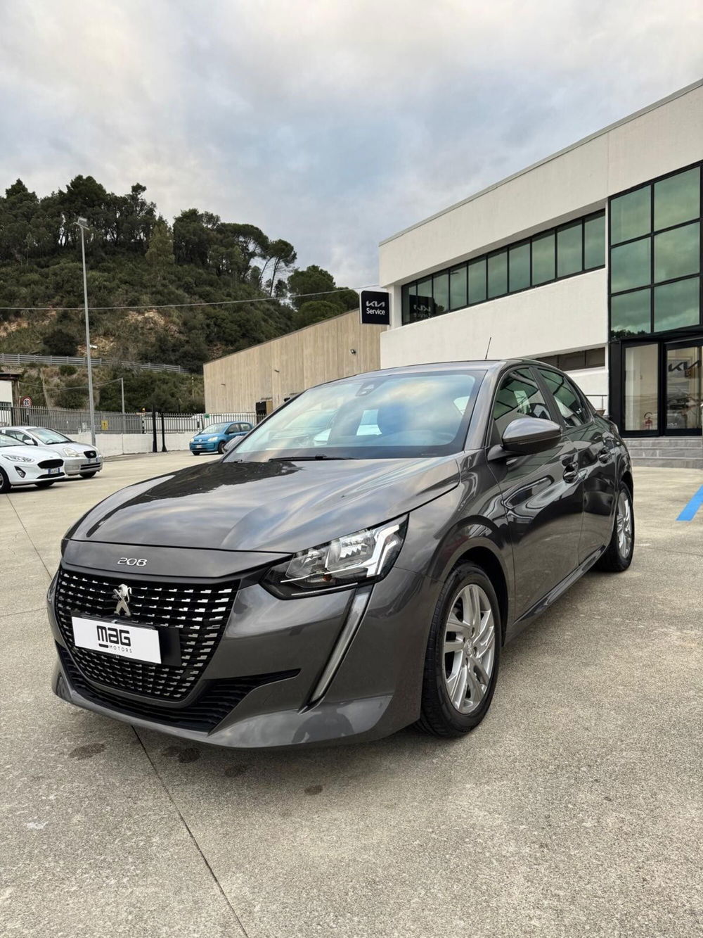 Peugeot 208 usata a Cosenza