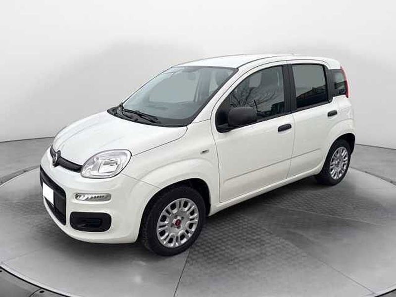 Fiat Panda 1.2 Easy  del 2019 usata a Siena