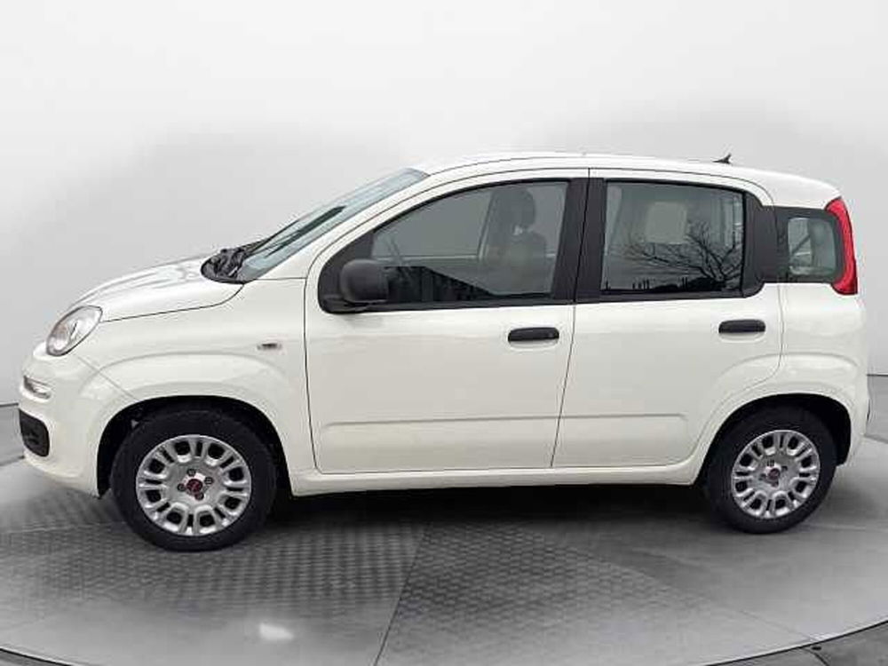 Fiat Panda usata a Siena (2)