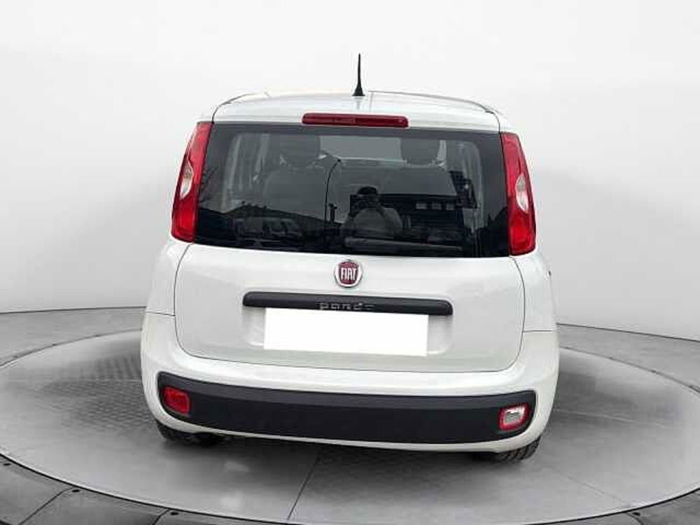 Fiat Panda usata a Siena (4)