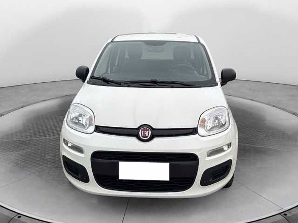 Fiat Panda usata a Siena (5)