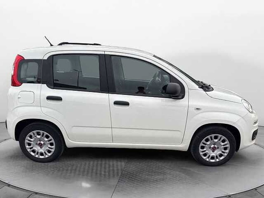 Fiat Panda usata a Siena (7)